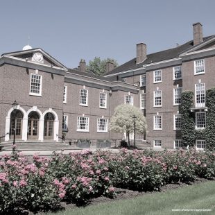 portfolio-image